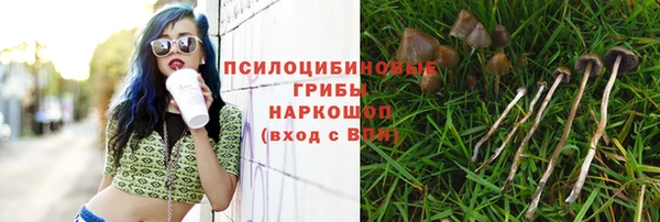 мескалин Аркадак